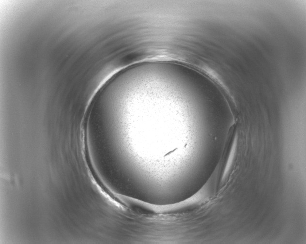 X0000054461476200508051938