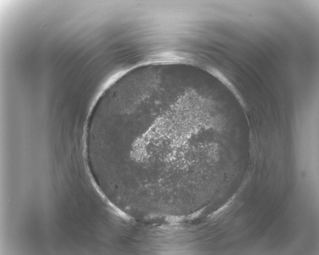 X0000054461477200508051938