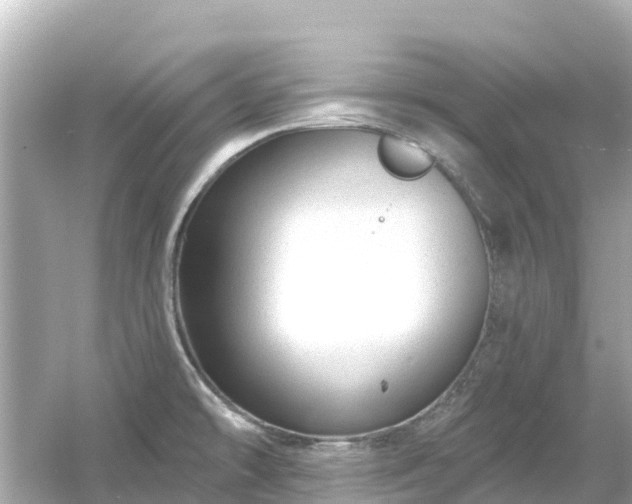 X0000054461478200508051938