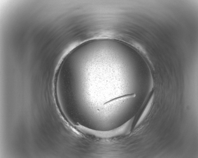 X0000054461480200508051938