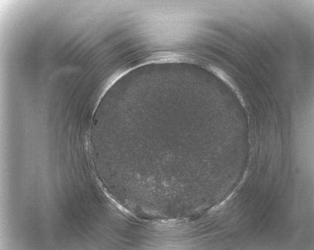 X0000054461481200508051938