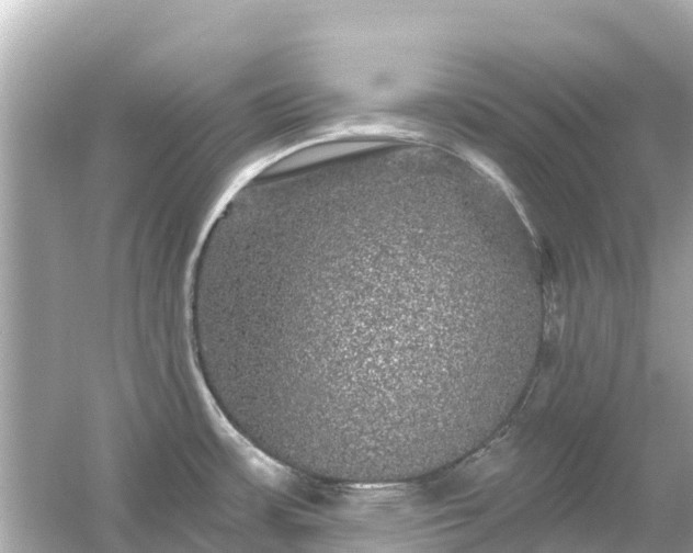 X0000054461483200508051938