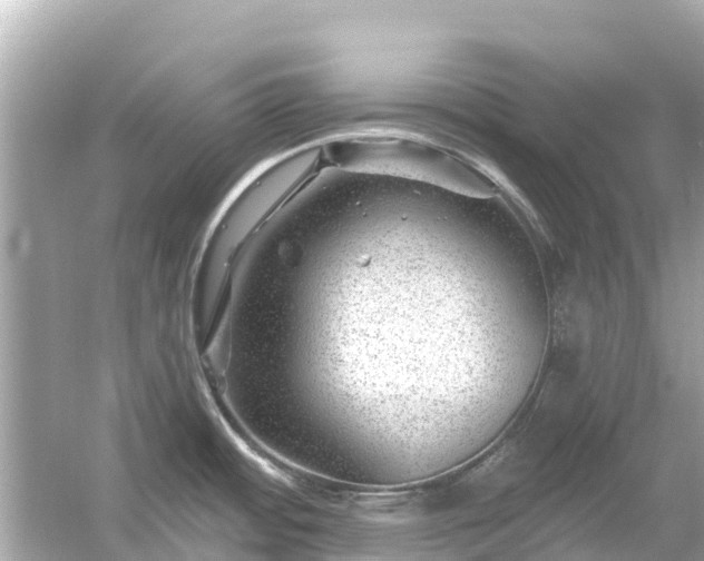 X0000054461484200508051938