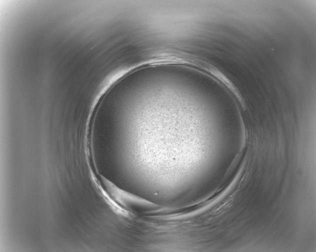 X0000054461485200508051938