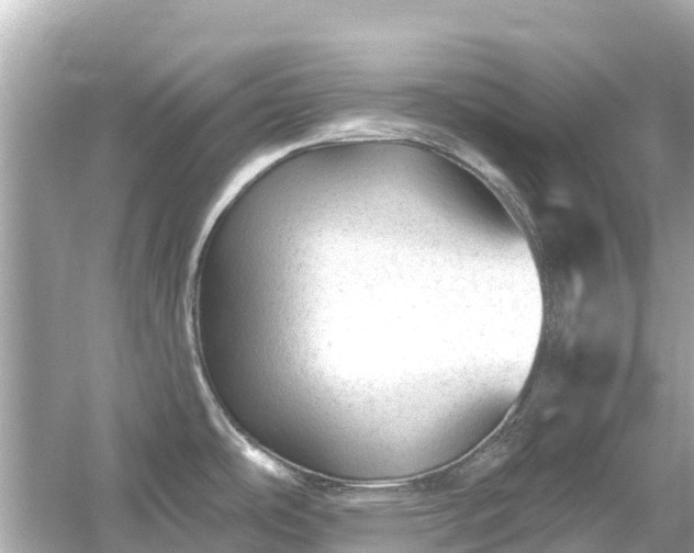 X0000054461486200508051938