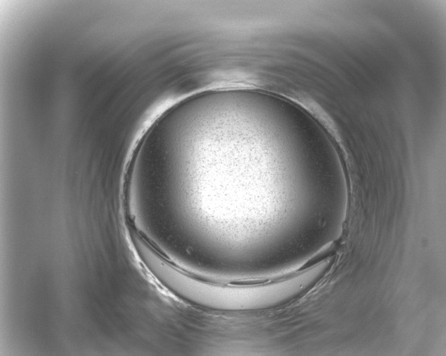 X0000054461488200508051938