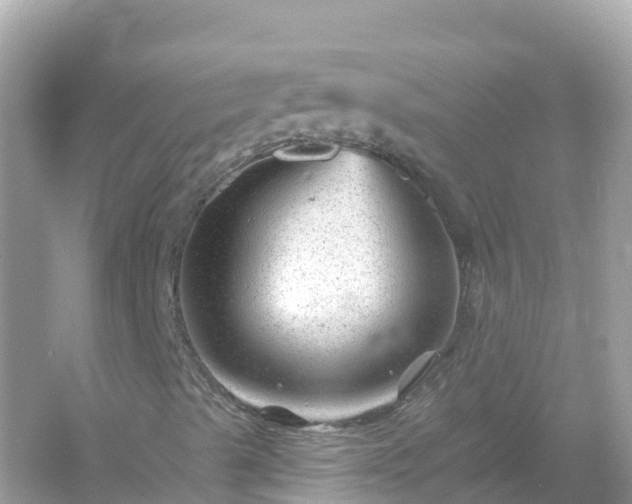 X0000054461489200508051937