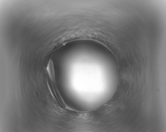 X0000054461490200508051937