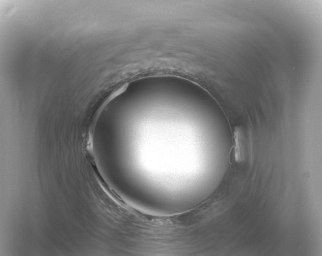 X0000054461491200508051937