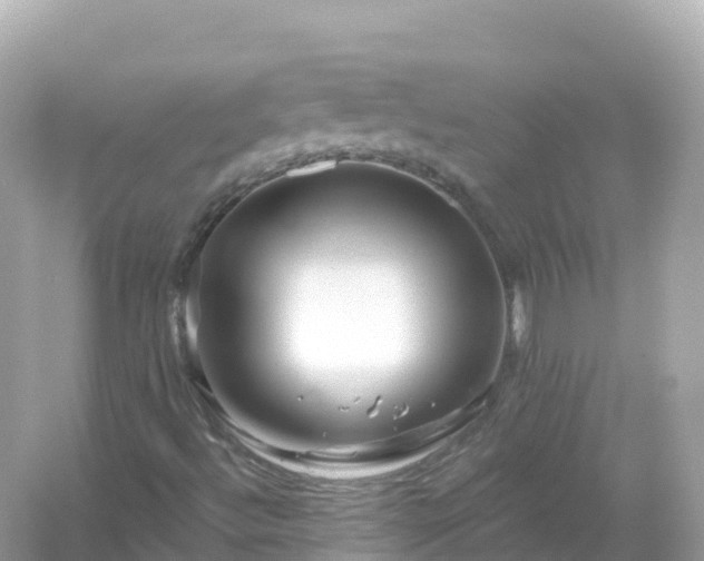 X0000054461492200508051937