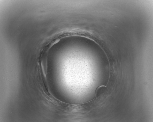 X0000054461493200508051937