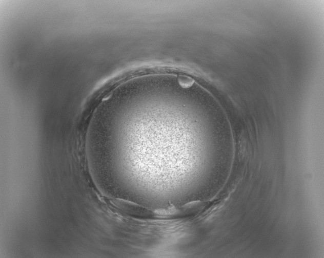 X0000054461494200508051937