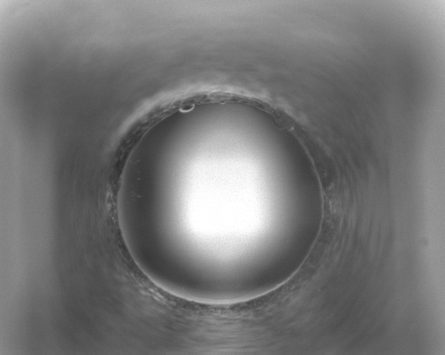 X0000054461495200508051937