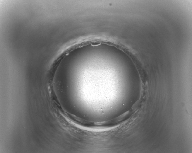 X0000054461496200508051937