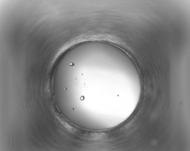 X0000054461498200508051937