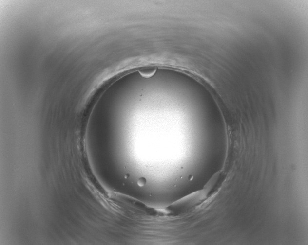 X0000054461499200508051937