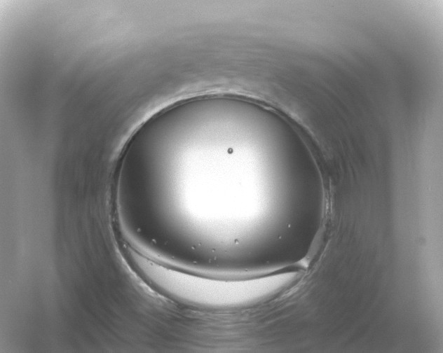 X0000054461500200508051937