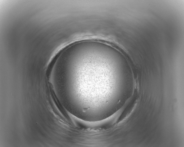 X0000054461501200508051937