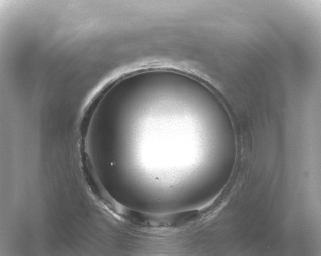 X0000054461502200508051937