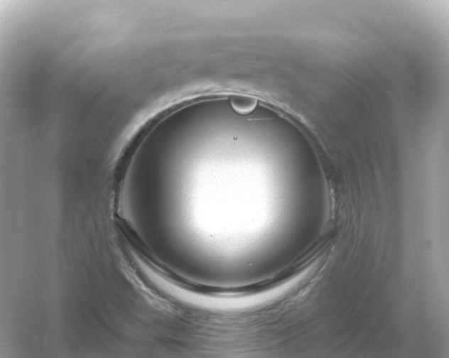 X0000054461503200508051937