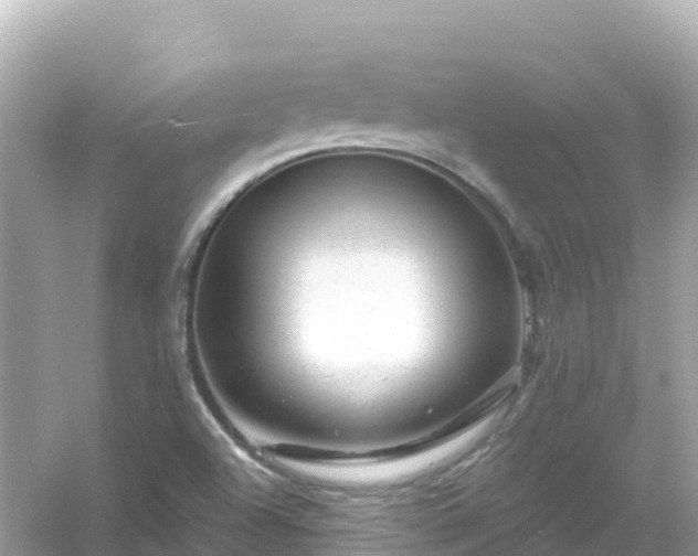 X0000054461504200508051937