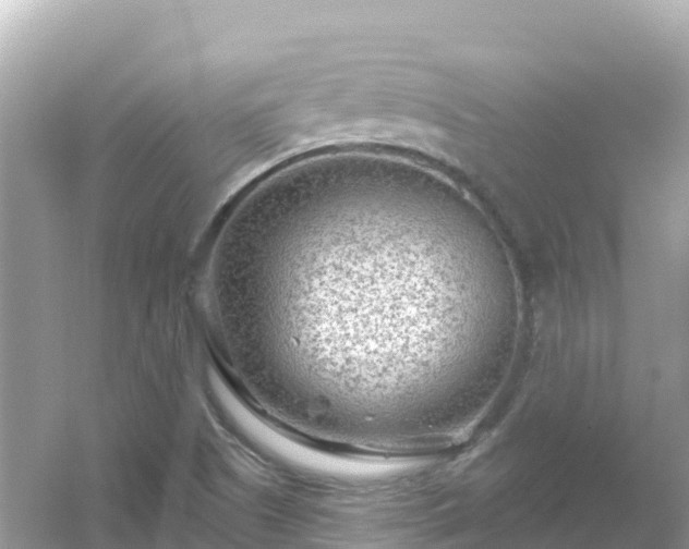 X0000054461505200508051937