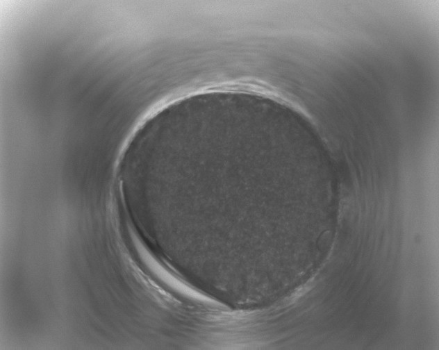 X0000054461506200508051937