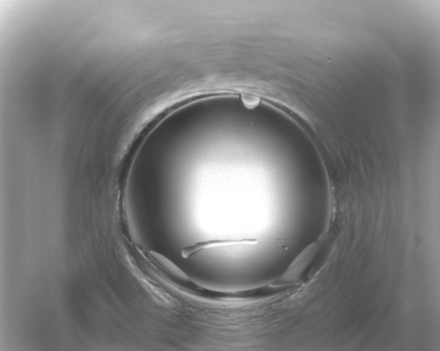 X0000054461507200508051937