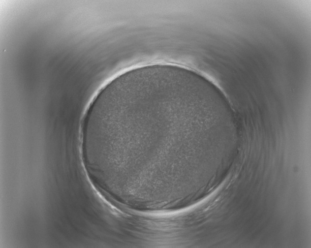 X0000054461508200508051937