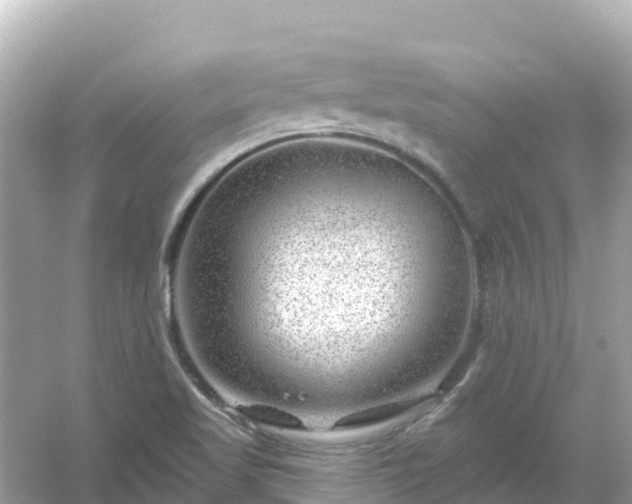 X0000054461509200508051937