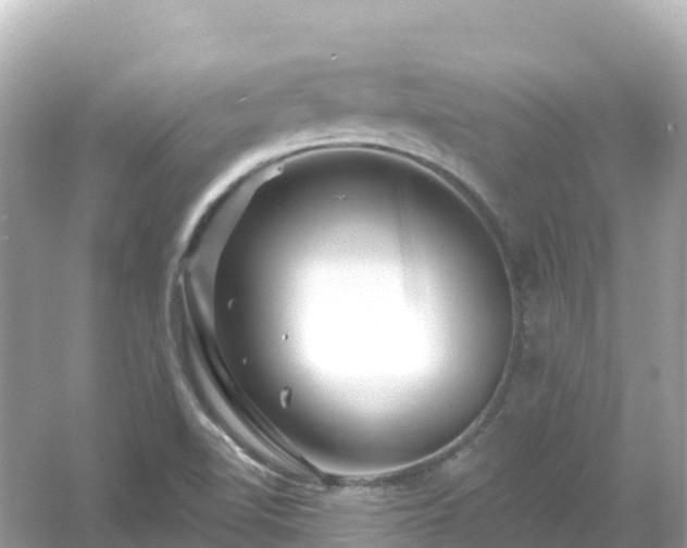 X0000054461510200508051937