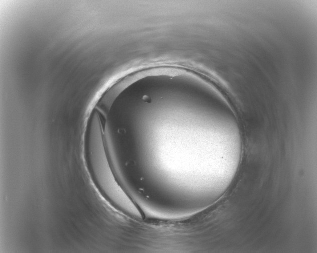 X0000054461512200508051937