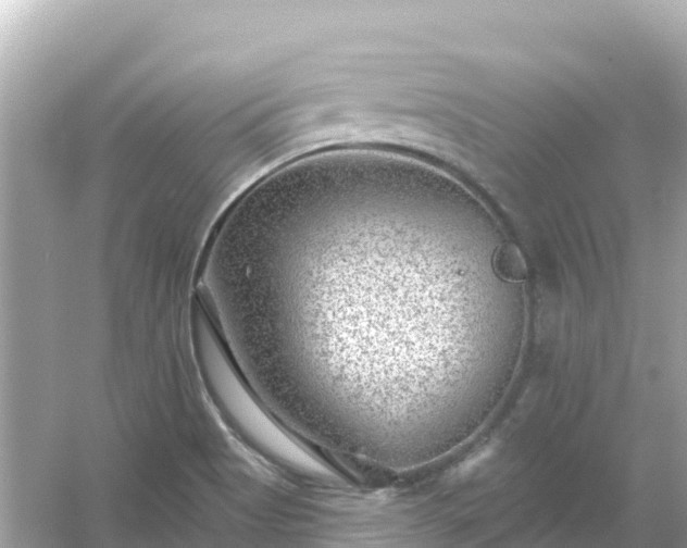 X0000054461513200508051937