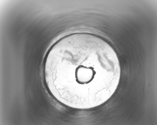 X0000054461514200508051937