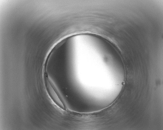 X0000054461516200508051937