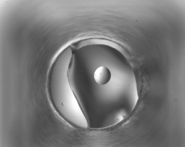 X0000054461518200508051937