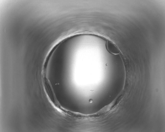 X0000054461519200508051937