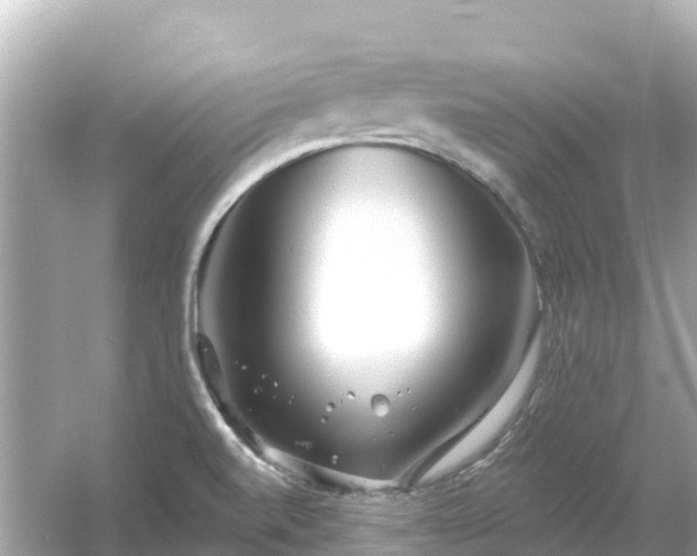 X0000054461520200508051937