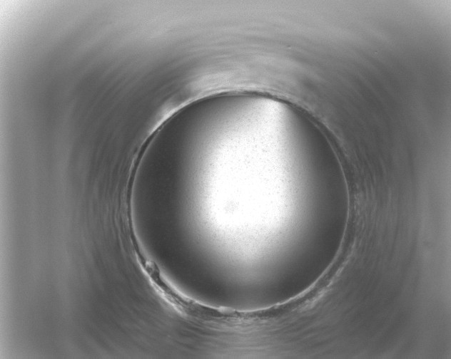 X0000054461521200508051937