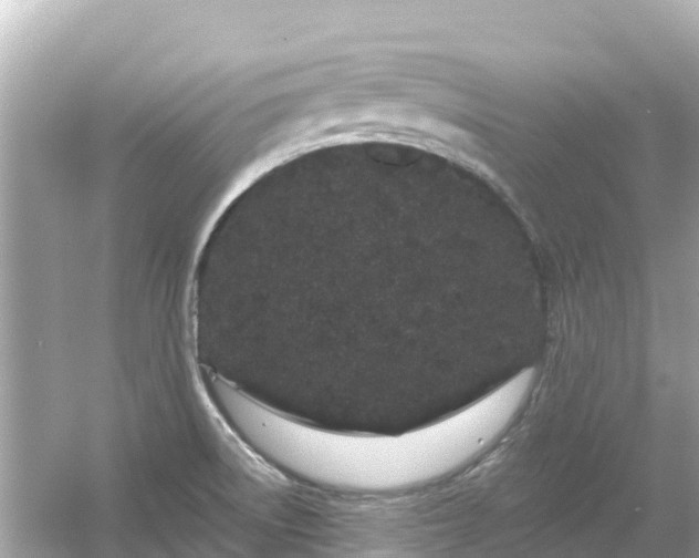 X0000054461522200508051937