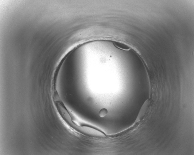 X0000054461523200508051937