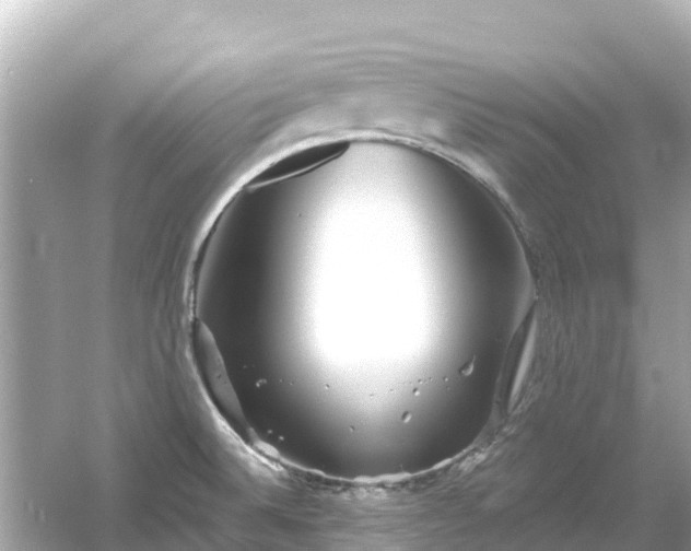 X0000054461524200508051937