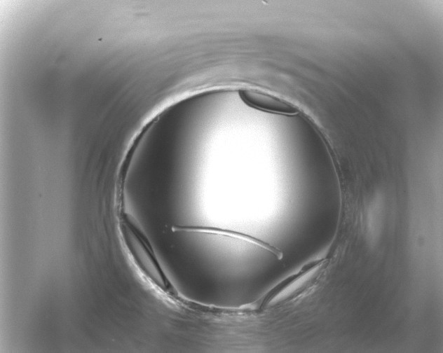 X0000054461526200508051937