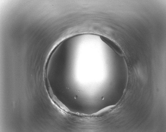 X0000054461527200508051937