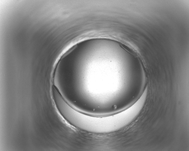 X0000054461528200508051937