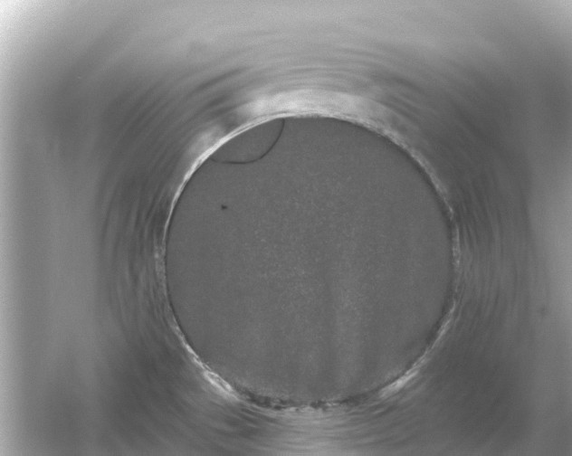 X0000054461529200508051938