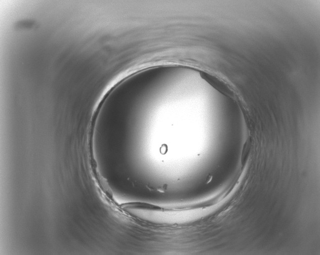 X0000054461530200508051938