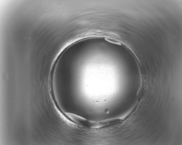 X0000054461531200508051938