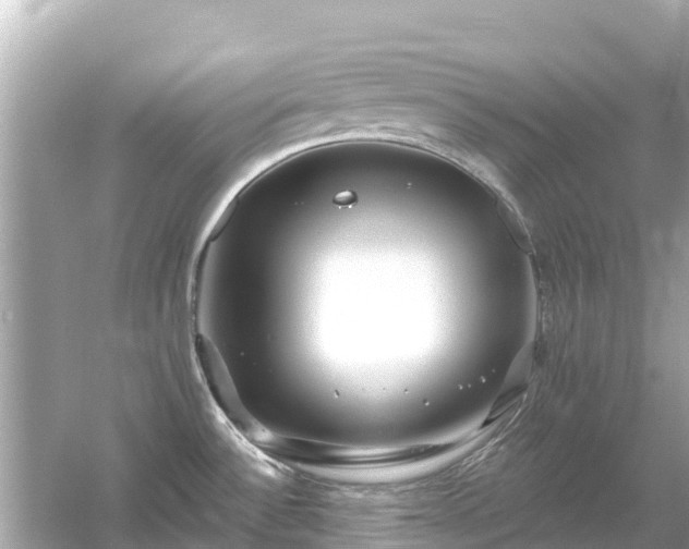 X0000054461532200508051938