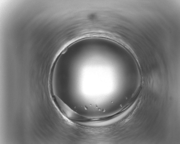 X0000054461533200508051938